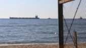 Spannmålsfartyg ska ha lämnat ukrainsk hamn