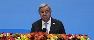 FN-chefen manar till omedelbar vapenvila