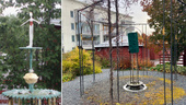 Vem tog statyn från parken i Enköping?