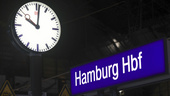 Ta nattåget till Hamburg i stället, regionpolitiker
