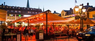 Linköping kan bli årets stadskärna