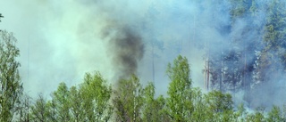 Räddningschefen: “Skogsbranden under kontroll”