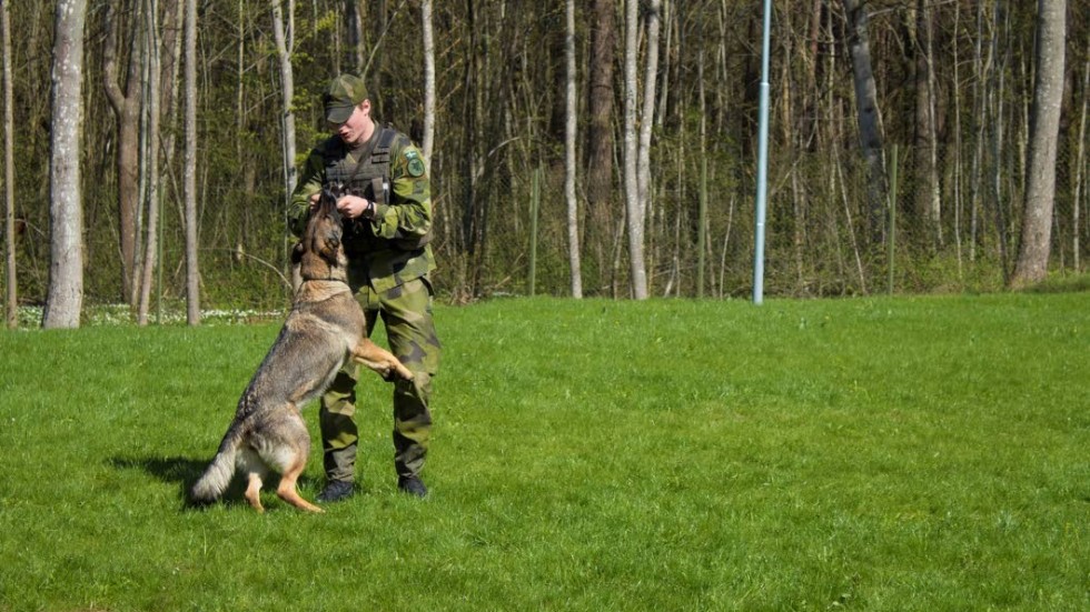 Hundföraren Emil Olofsson visade upp träning i lydnad med schäfern Jaki, en av Helikopterflottiljens patrullhundar.