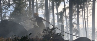 Fem hektar stod i brand
