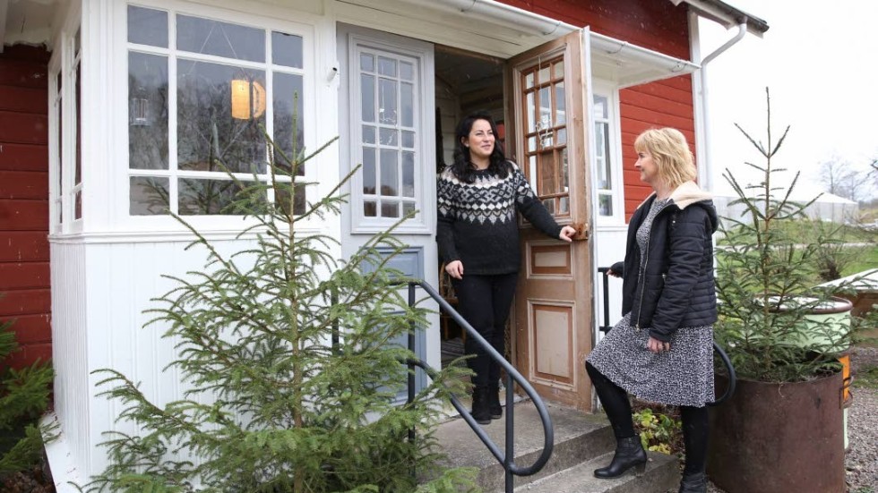 Louise Isaksson och hennes moster Eva Ekman Lundin hälsar välkommen till Stiliga Stugan med inredningsbutik och café.