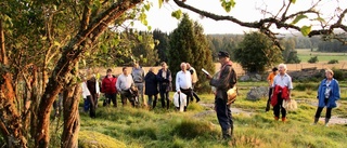 Tid för tur i natur och kultur