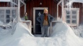 Tysk film missar Nordqvists klurighet