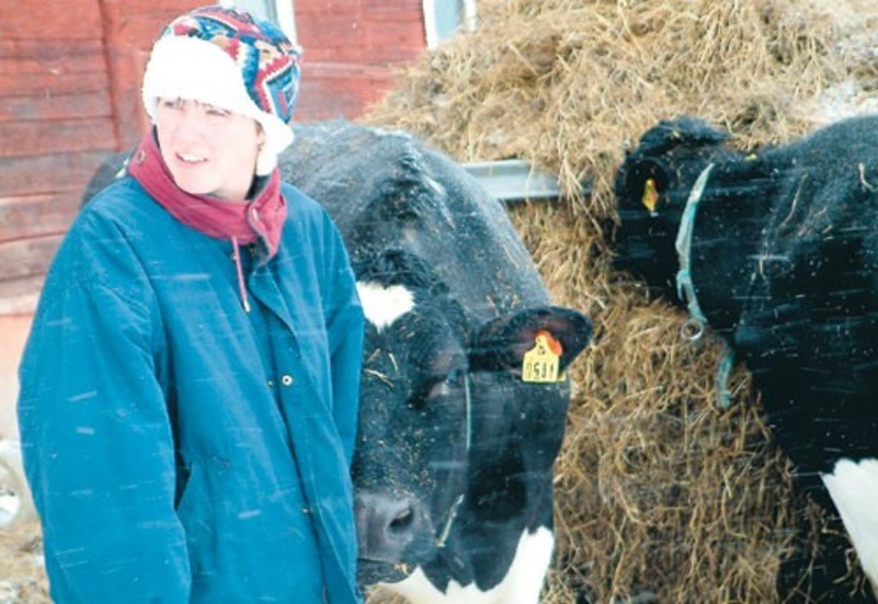 Även när det är snöstorm ute måste Anna-Lena Andersson ta hand om djuren på gården. Kvigorna uppskattar hennes besök.