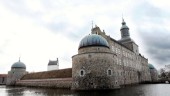 Så mycket pengar får föreningarna