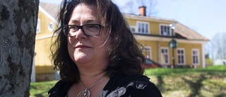 Medevi brunn vill vara en idyll året om