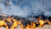 SMHI varnar: Risk för gräsbrand