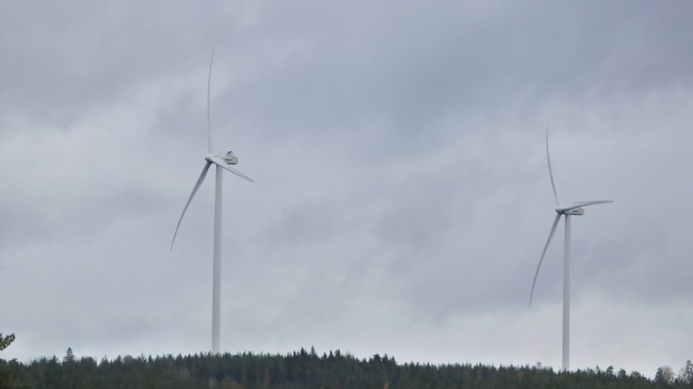 En vindkraftspark kan bli verklighet i skogen utanför Gårdveda. Men ännu är processen bara i sin linda.
