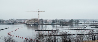 Ulvaeus: Gästhamnen har stor potential