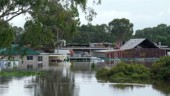 Fortsatta skyfall i översvämmat Australien