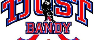 Tjust Bandy spelade cup