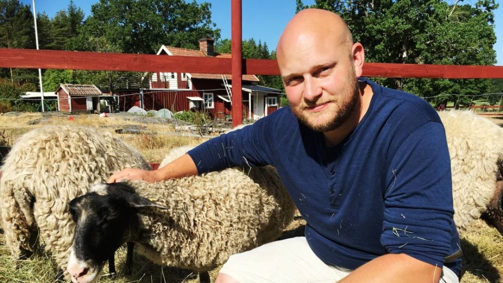Erik Askenberger måste kanske slakta sina får. Betet räcker inte till.