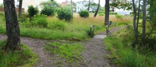 Kommunen lovar åtgärder i parken