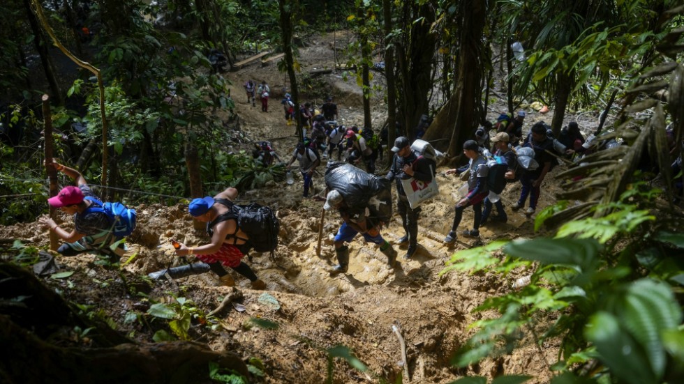 Migranter, de flesta venezuelaner, korsar Dariéngapet från Colombia in i Panama, i ett försök att ta sig till USA. Arkivbild.