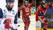 VIK:s 50 bästa i Hockeyallsvenskan: plats 20-11