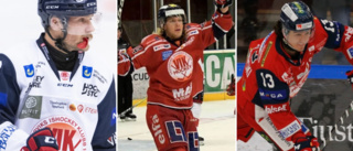 VIK:s 50 bästa i Hockeyallsvenskan: plats 20-11
