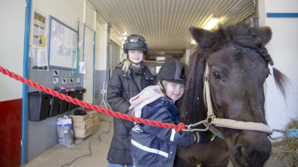 Malou kramar om en av hästarna i stallet. 