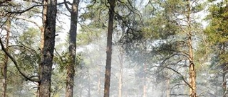 Ingen naturlig förklaring till skogsbrand i Gäddeglo