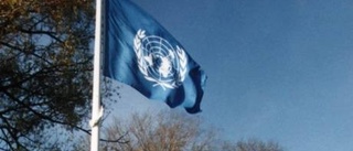 Sverige skämmer ut sig i FN