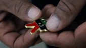 Mönster för arabvärlden och blivande demokratier
