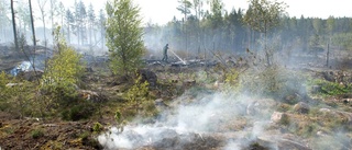 Stor risk för skogsbrand