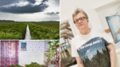 Diken och ödsliga landskap i ”Hjortronlandet” • Lokala fotografens stora utställning i Skellefteå konsthall: ”Allt jag gör blir lite dystert”