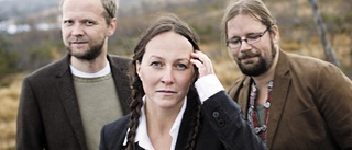 Fortsätter att bevara svensk folkmusik