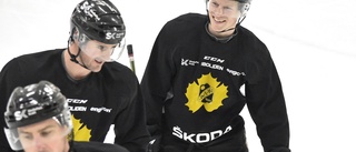 ”Medelålder på 84 år – spelar samma hockey”