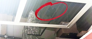 Nio inbrott via taket – ligan har fångats på bild: ”Vi ser flera personer som samarbetar”