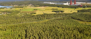 Nya planen för kommunen och H2 Green Steel • Kontakten med Skellefteå • "Måste göra det klokt"