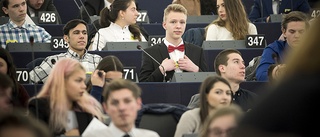 Eleverna som tog över EU-parlamentet 