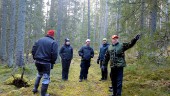 Sven-Erik fortsätter striden mot blomman • Risk för fruktad insekt om träden ligger kvar • Fick ut 54 kronor på försäkringen