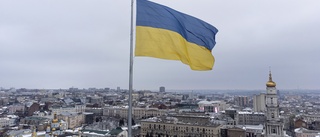 Bara ukrainsk seger kan ge hållbar fred