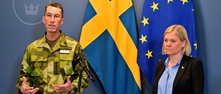 Andersson gör en Palme och förlitar sig på Nato