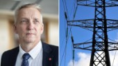 Toppolitikerns krav på staten: ”Säkra den förnyelsebara elen i norra Sverige”