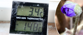 Gotländska väderrekordet kan slås inom veckor – så blir temperaturen framöver 