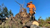 Lokale skogsägaren om skadorna: "Vi har blundat för problemet" 