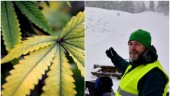 Valdemarsvik fortsatt i topp – mest cannabis i avloppet i hela länet