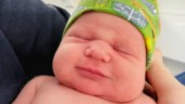 Babylycka: Harry årets förstfödde vid Skellefteå BB: ”Man blir som lite nykär” 