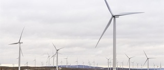 Skellefteå Krafts vindkraft slog produktionsrekord