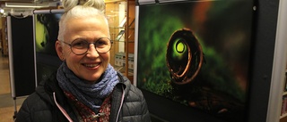 Ulla fotar ur snigelperspektiv – "Mycket att upptäcka"