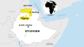 Etiopiens premiärminister: Vi är inne i Mekele