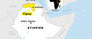 Etiopiens premiärminister: Vi är inne i Mekele