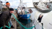 Här lyfts fiskebåten Nordland – sjönk i Oxelösund med 17 ton strömming