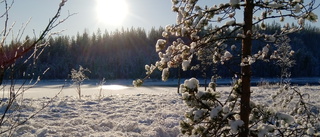 Läsarbilden: Solen tittar fram