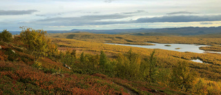 Inventering visar på höga naturvärden